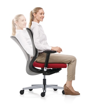 Preview: Sedus Netwin Testsieger